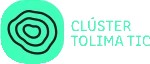 Cluster TIC